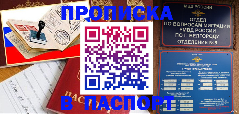купить прописку в Вязьме